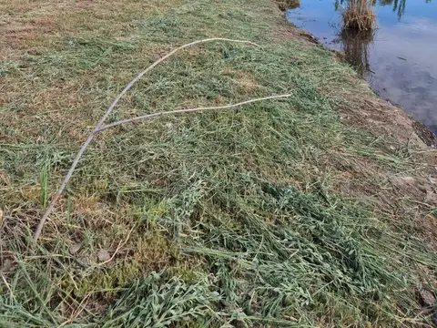 Terreno en Venta 125  mts Fondo