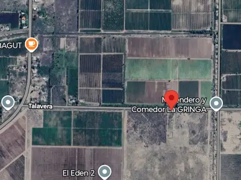 TALAVERA