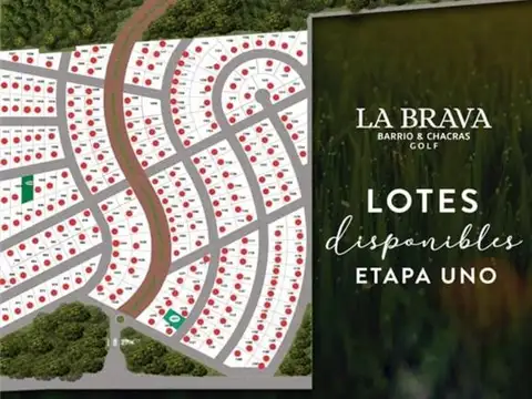 Terreno en Venta en Colonia Popular, USD 7.000