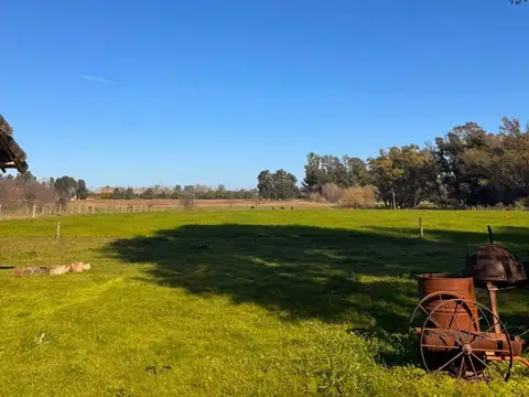 Chacra en venta de 30000m2 ubicado en Luján