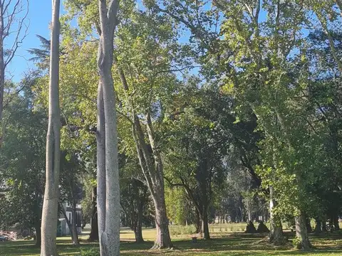 Terreno en Venta de 1000,0 m2