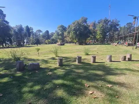 Tres Pinos
