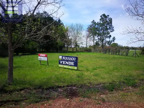 Terreno - Gualeguaychu