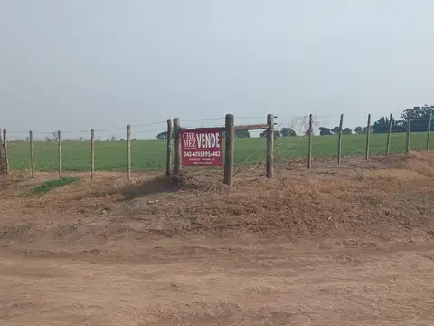 Campo en Venta Agrícola