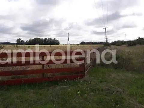 Camino provincial secundario 134-01 100