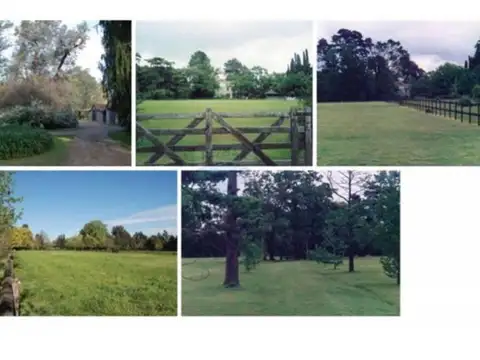 Nueva Guinea Y Rumania 100