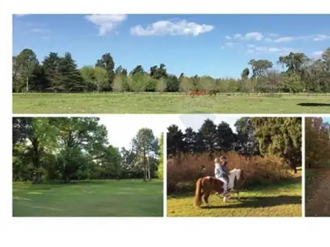 Terreno en Venta en Del Viso, USD 7.900.000