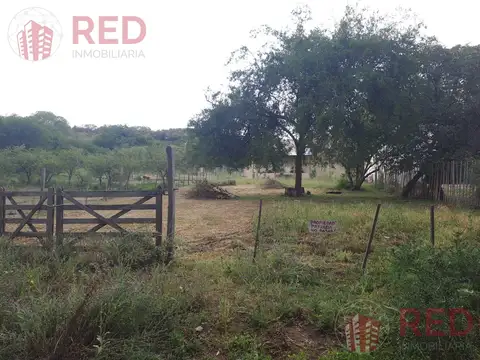 VILLA ANIMI. LA GRANJA.