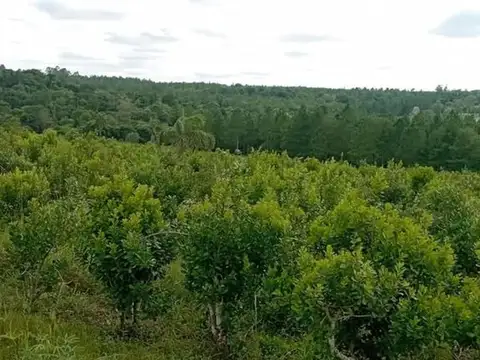 Terreno en Venta de 169,0 m2