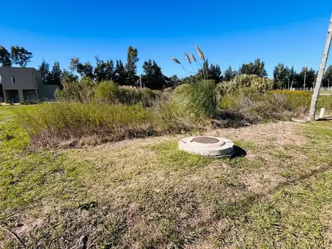Cardales Chico - Lote 42