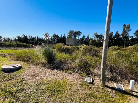 LOTE EN VENTA - CARDALES CHICO