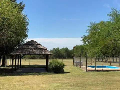 Quinta – Amplio Lote –  Quincho - Pileta - Hermosa Forestación -Lobos