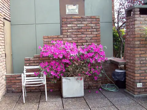 Departamento en Alquiler Apto profesional
