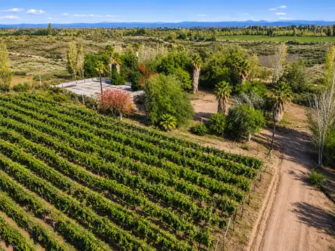 Oportunidad excelente finca productiva de 75 Has