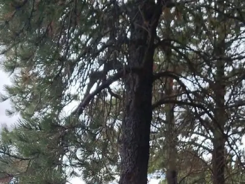 Orillas del Quilquihue Lote 10