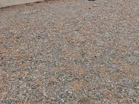 Terreno en Venta de 15577,0 m2