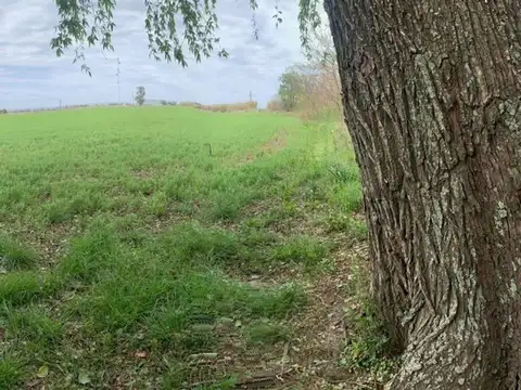 RUTA PROVINCIAL 13-S