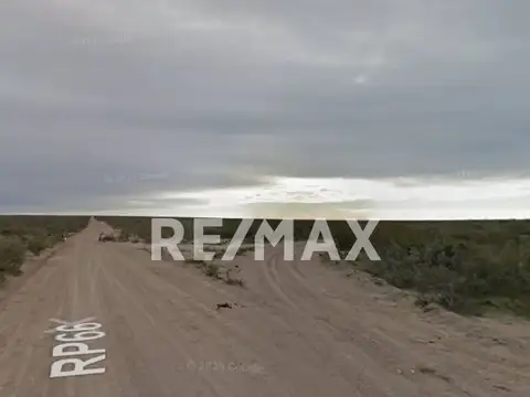 VENTA DE CAMPO RAMOS MEXIA  RIO NEGRO