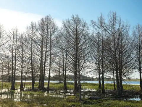 Terreno en Venta de 30142,0 m2