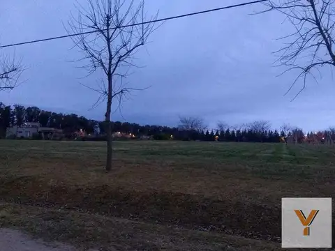 Campos De Roca II