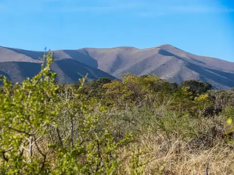 Terreno en Venta de 40000,0 m2