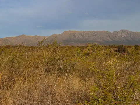 Terreno en Venta de 40000,0 m2