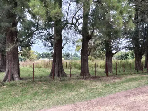 Terreno en Venta de 4387,0 m2