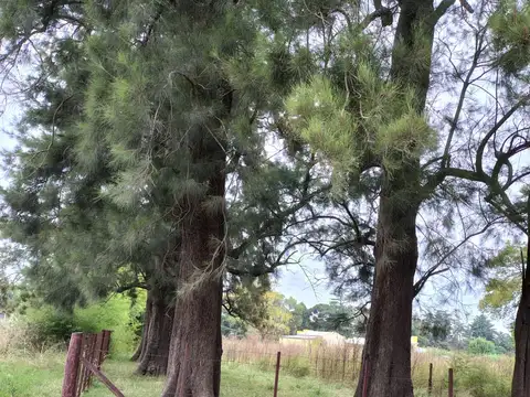 Larrea y de Los Inmigrantes Carmen de Areco