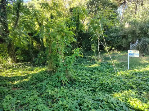 Terreno en Venta 15  mts Frente