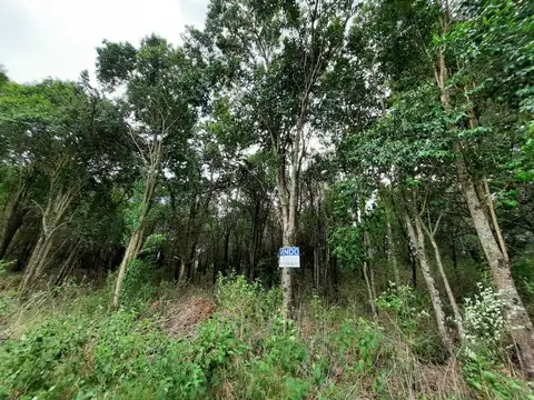 VENTA-GRAN LOTE EN ASCOCHINGA-CERRO LA CRUZ