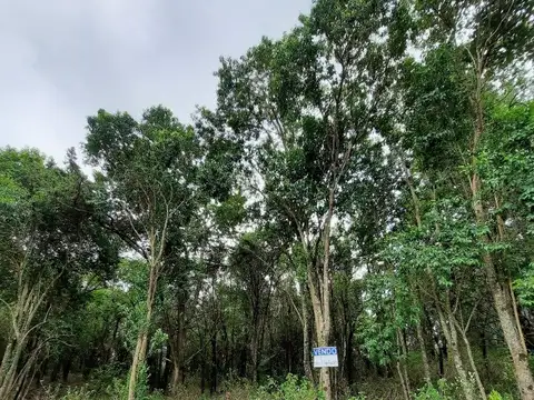 VENTA-GRAN LOTE EN ASCOCHINGA-CERRO LA CRUZ