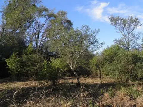 Terreno en Venta de 740,0 m2