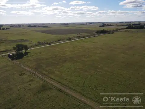 Campo Mixto de 280 Has con Inmejorable acceso sobre asfalto en Ranchos - Oportunidad !