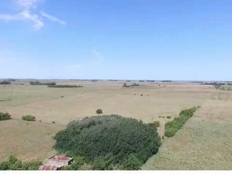 Campo Mixto de 280 Has con Inmejorable acceso sobre asfalto en Ranchos - Oportunidad !