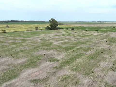 Campo en Venta de 55  ha