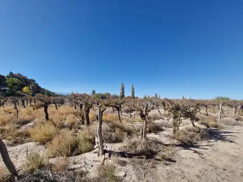 AGUILERA ENTRE ZAPATA Y NACIONAL