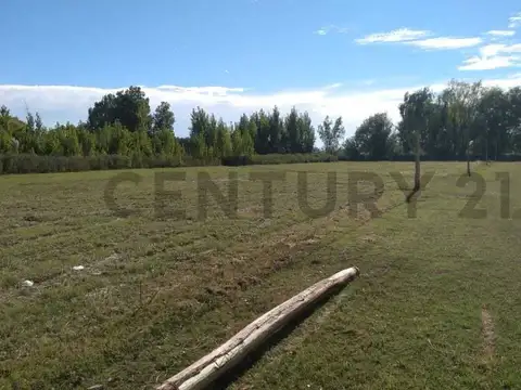 Terreno en Venta de 3700,0 m2