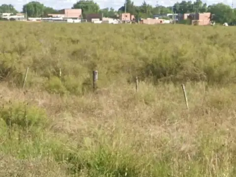 Terreno en Venta de 85000,0 m2