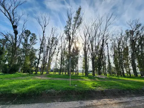 Terreno en Venta en Manuel B Gonnet, USD 66.900