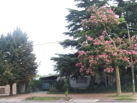 Casa en El Plumerillo