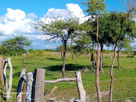 Terreno en Venta en Buena Vista, $ 8.000.000