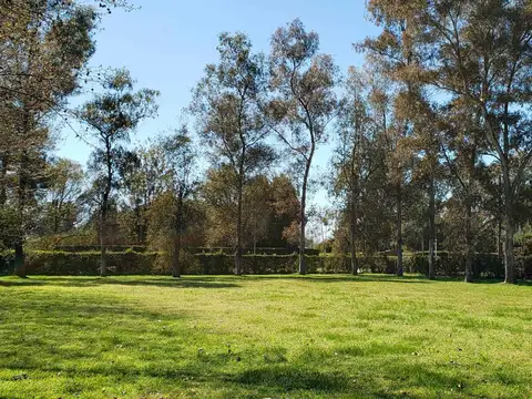 Avenida Hector Arregui 2700