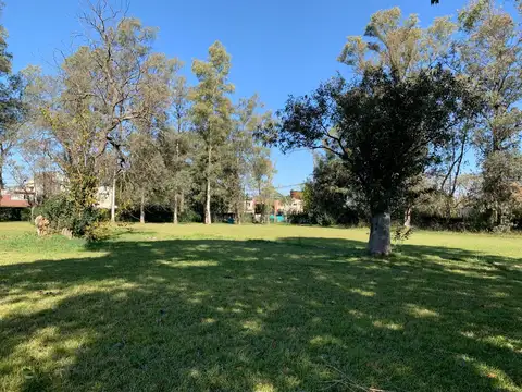 Terreno en Venta 12,50  mts Frente