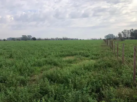 Terreno en Venta en Villa Ruiz, USD 265.000