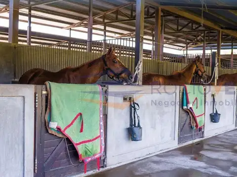 Terreno en Venta de 1433,0 m2