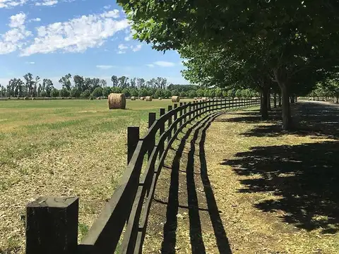 Venta Terreno en Technopolo