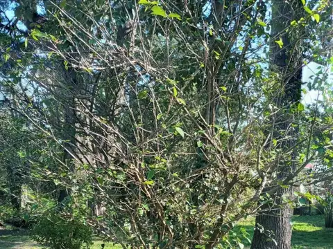 Quinta sobre lote de 2500 m2 La Reja APTO CRÉDITO