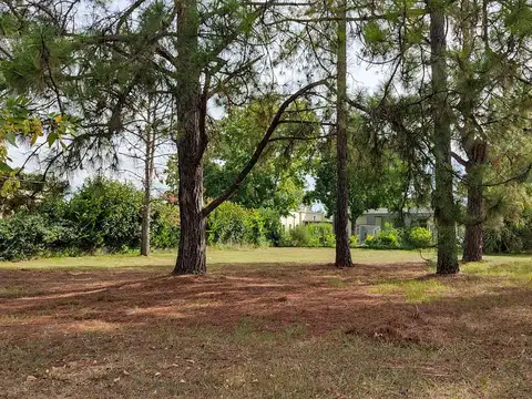 San Matias, Countries/B.Cerrado, Lote 537