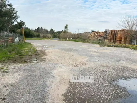Terreno en Alquiler de 3500,0 m2
