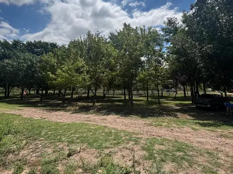 Terreno con cabaña en Los Chacayes - Tunuyán